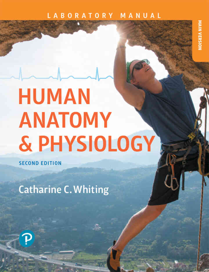 Human Anatomy &amp; Physiology Laboratory Manual: Making Connections, Main Version, 2nd Edition