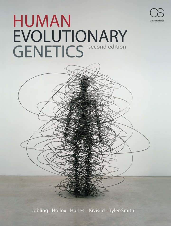 Human Evolutionary Genetics