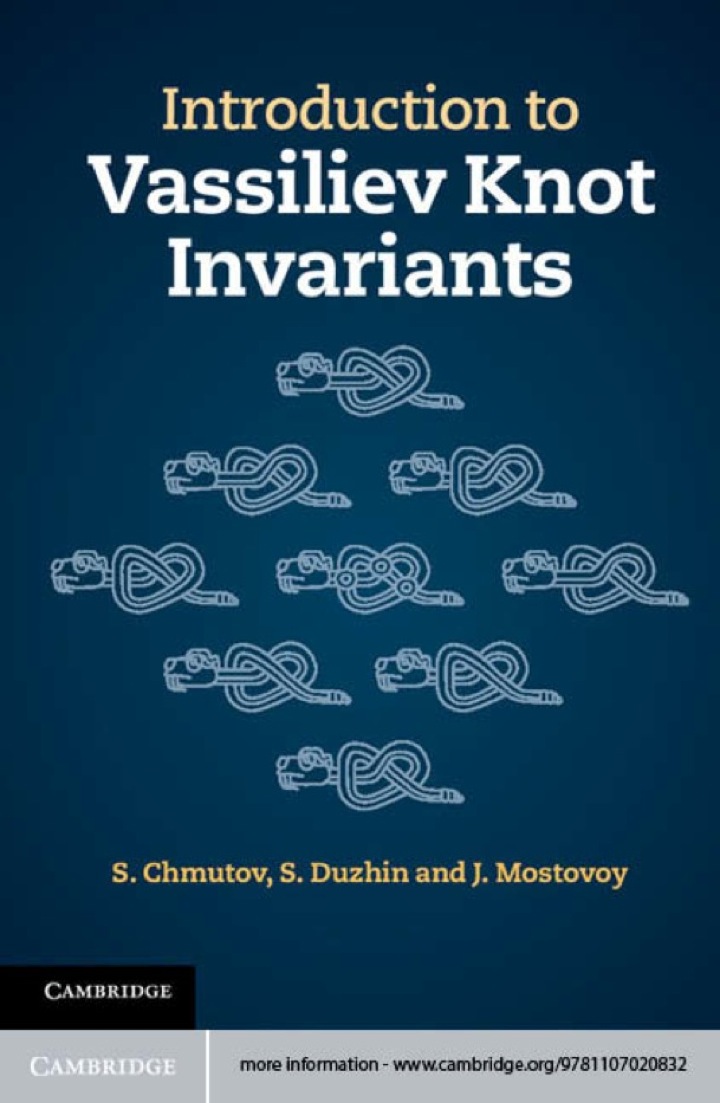 Introduction to Vassiliev Knot Invariants