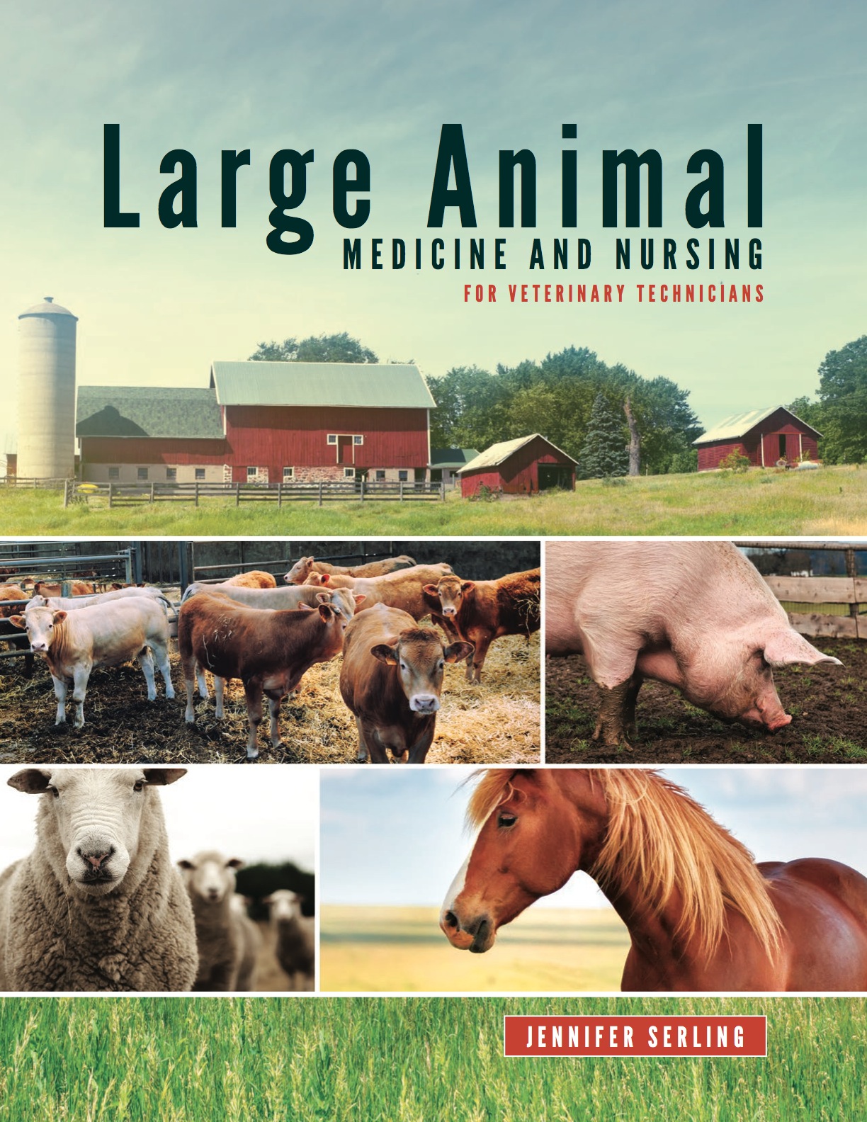Large Animal Medicine and Nursing for Veterinary Technicians