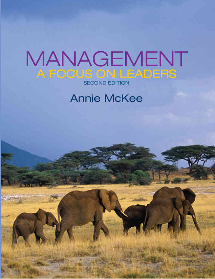 Management: A Focus on Leaders, 2nd Edition