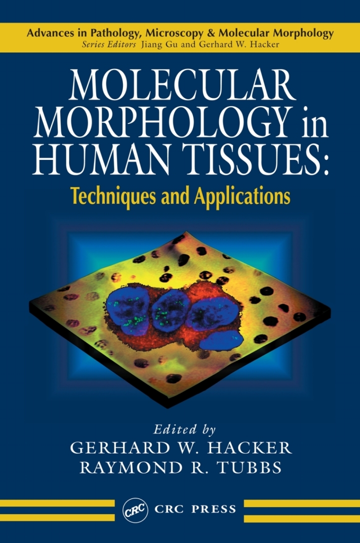 Molecular Morphology in Human Tissues: Techniques and Applications