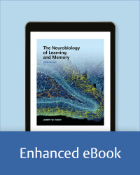 The Neurobiology of Learning and Memory
