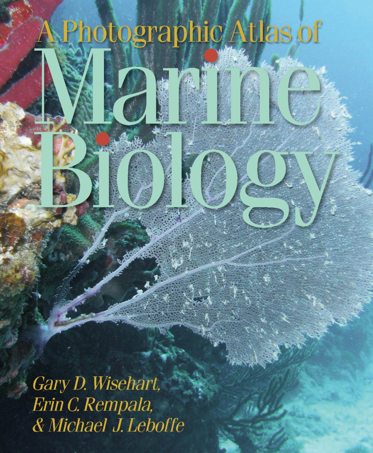 A Photographic Atlas of Marine Biology