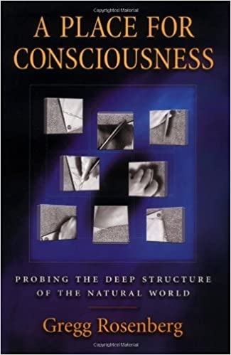 A Place for Consciousness: Probing the Deep Structure of the Natural World (Philosophy of Mind)