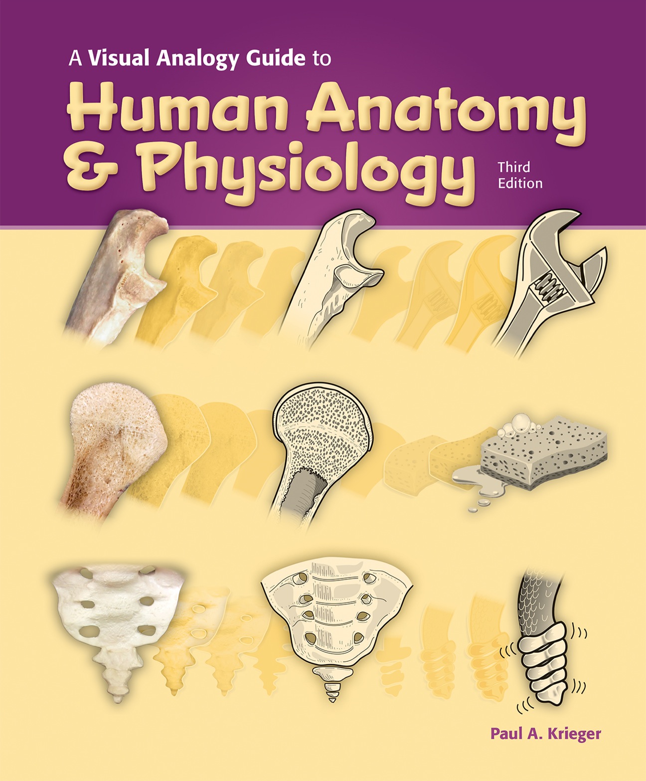 A Visual Analogy Guide to Human Anatomy & Physiology