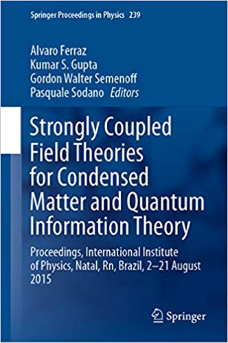 Strongly Coupled Field Theories for Condensed Matter and Quantum Information Theory: Proceedings, International Institute of Physics, Natal, Rn, Brazil, ... (Springer Proceedings in Physics Book 239)