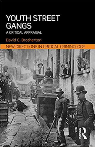 Youth Street Gangs: A critical appraisal (New Directions in Critical Criminology Book 10)