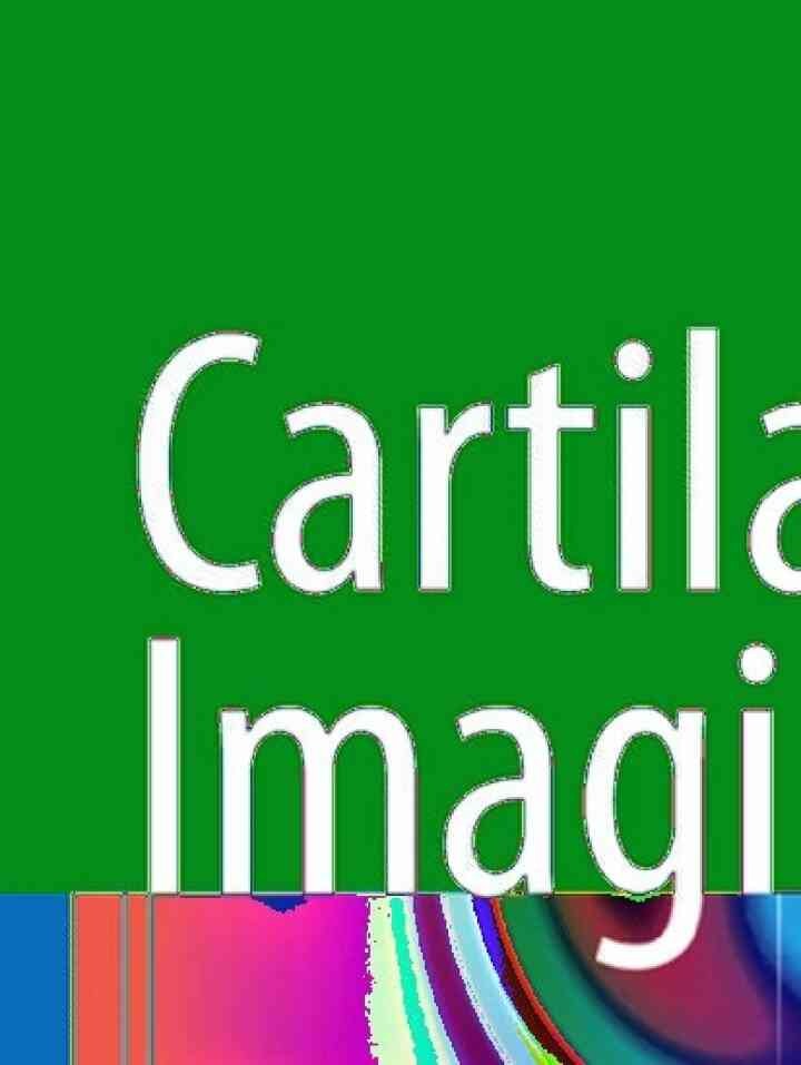 Cartilage Imaging: Significance, Techniques, and New Developments