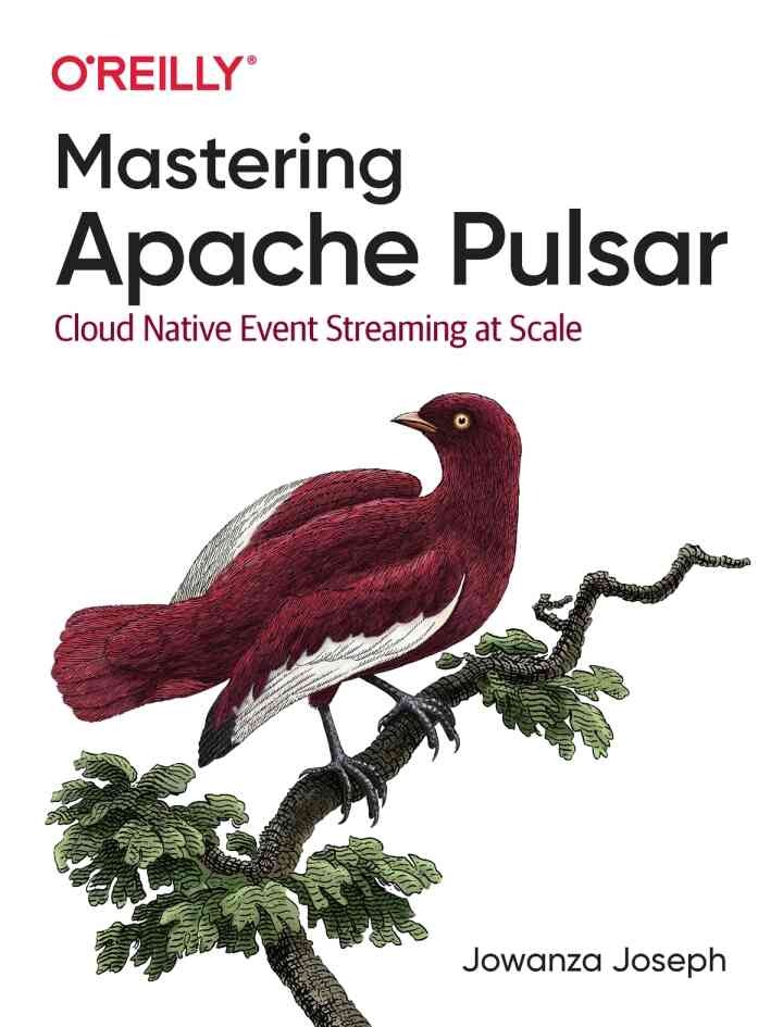 Mastering Apache Pulsar: Cloud Native Event Streaming at Scale, 1st Edition
