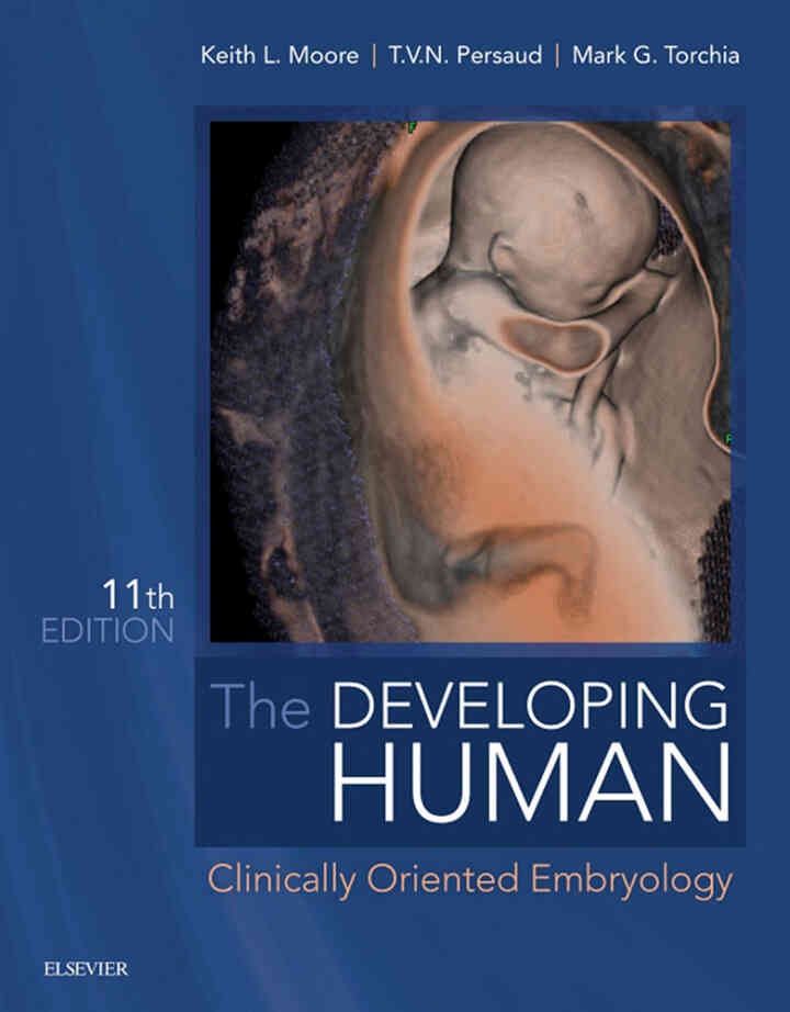 The Developing Human : Clinically Oriented Embryology